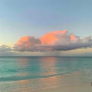 美国黑人妓女操逼
